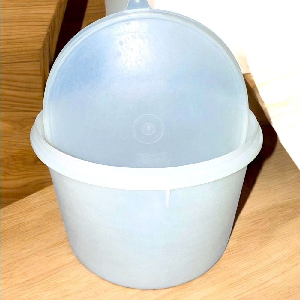 Vintage Tupperware Sheer 267-3 Container with Sheer Tupper Seal 230-8
